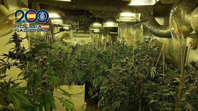 Droga intervenida por la Policía Nacional