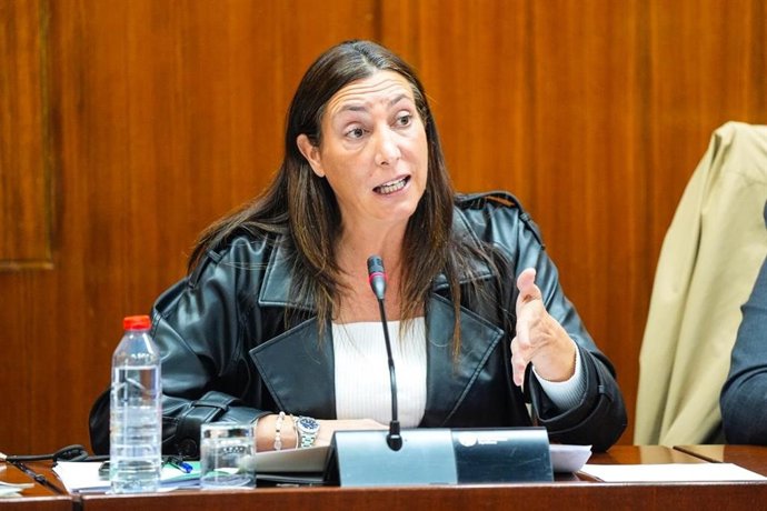 La consejera de Inclusión Social, Loles López, en la comisión parlamentaria del 20 de noviembre de 2025.
