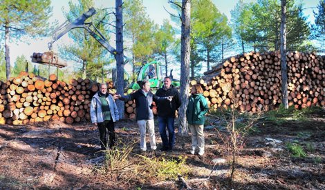 Es Andalucía - Granada