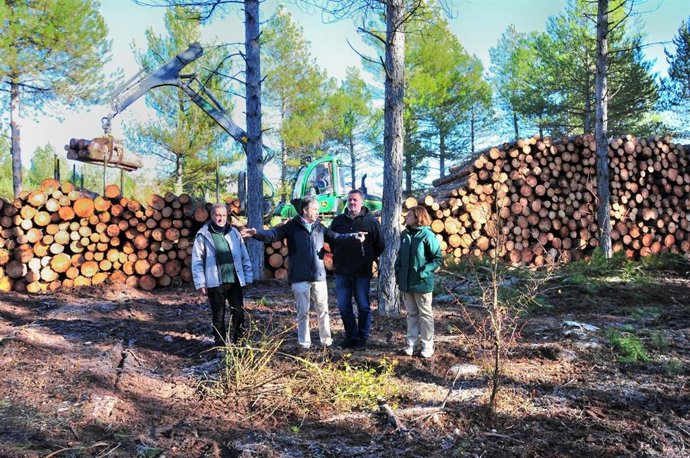 La Junta inicia tratamientos selvícolas en el monte público Puerto de la Mora