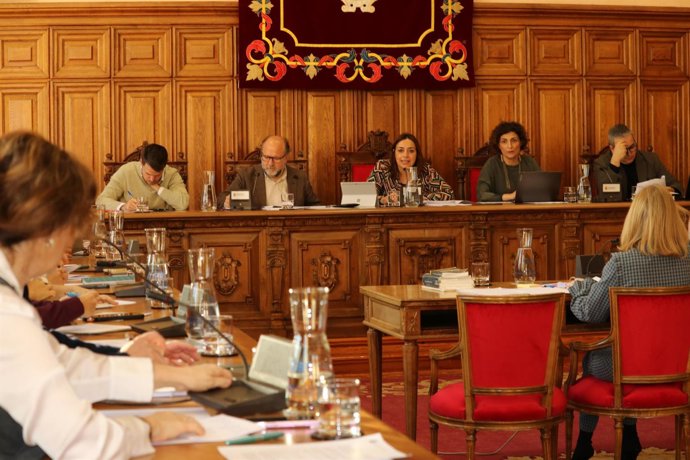Pleno del Ayuntamiento.