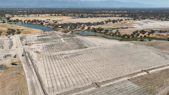 Archivo - Terrenos Audax.