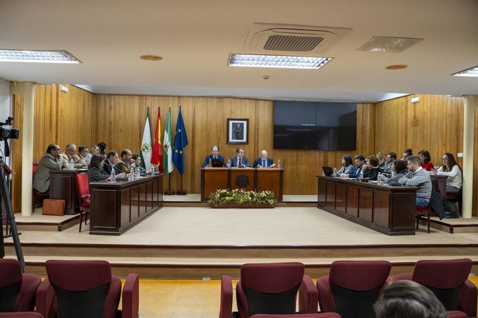 Ayuntamiento de Mairena del Aljarafe (Sevilla).