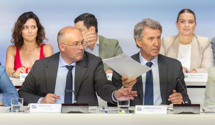 Archivo - Arquivo - O presidente do PP, Alberto Núñez Fiejóo, acompanhado pelo secretário-geral do PP, Miguel Tellado, preside a reunião do Conselho Nacional do Partido Popular, em 15 de setembro de 2025, em Madri (Espanha). O Comitê Executivo Nacional do