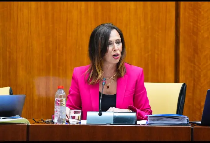 La consejera de de Fomento, Articulación del Territorio y Vivienda, Rocío Díaz, en comisión de Fomento del Parlamento de Andalucía.