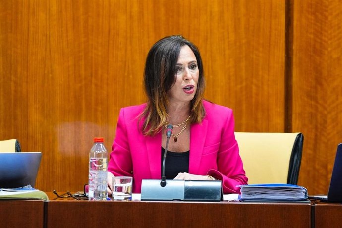 La consejera de de Fomento, Articulación del Territorio y Vivienda, Rocío Díaz, en comisión de Fomento del Parlamento de Andalucía.
