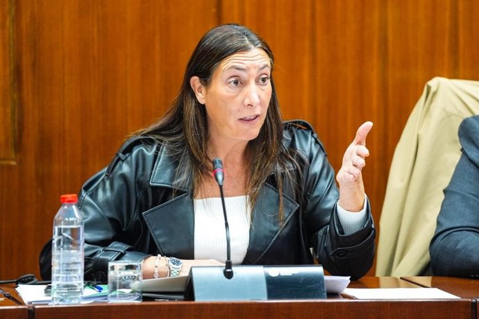La consejera de Inclusión Social, Loles López, en la comisión parlamentaria del 20 de noviembre de 2025.