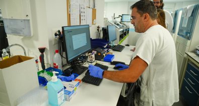 Es Andalucía - Sevilla