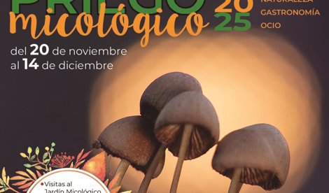 Es Andalucía - Córdoba