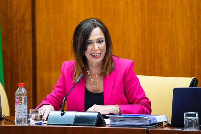 La consejera de Fomento, Articulación del Territorio y Vivienda, Rocío Díaz, en comisión parlamentaria este jueves 20 de noviembre de 2025.