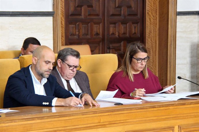 Grupo Socialista en la Diputación de Toledo.