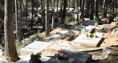 Es Andalucía - Sevilla