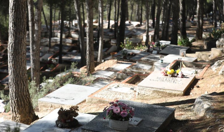 Es Andalucía - Sevilla