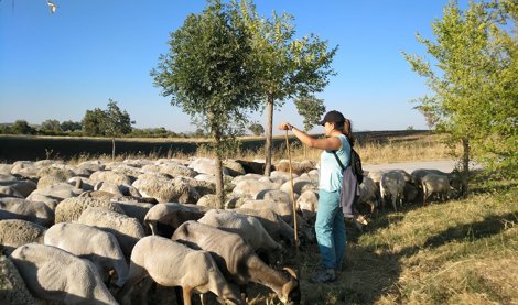 Es Andalucía - Huelva