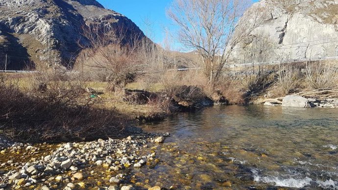 Zona en la que se llevarán a cabo las labores de acondicionamiento de las márgenes del Esla y del arroyo Mirva en Burón.