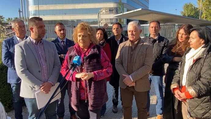 La portavoz del PSOE en la Diputación de Granada, Fátima Gómez, atiende a los medios.