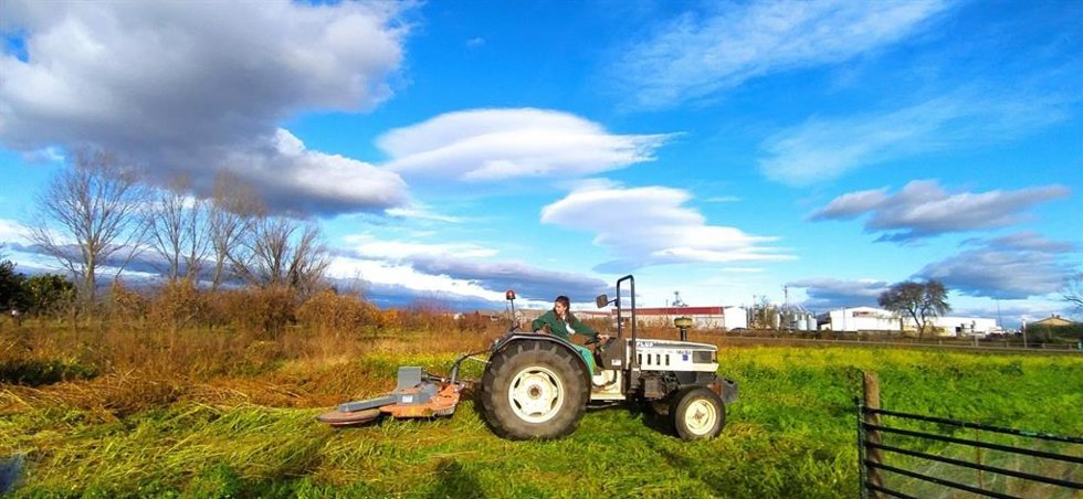Archivo - Política Agraria Común.- Extremadura recibe más de 45.400 solicitudes únicas de la PAC