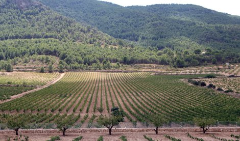Valencià