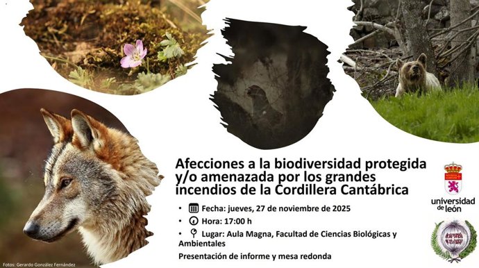 Pôster da apresentação do relatório "Afetações à biodiversidade protegida e/ou ameaçada pelos grandes incêndios da Cordilheira Cantábrica", que será apresentado pela ULE na próxima semana.
