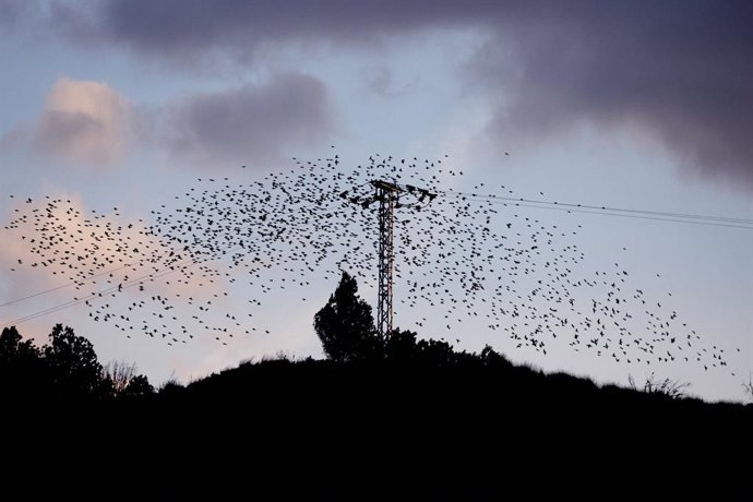 Archivo - Arxiu - Una de les obres d'Andreu Esteban de l'exposició 'Terra Nullius', resultat del projecte guanyador de la V Beca Fragments, impulsada per la Unió de Periodistes Valencians.