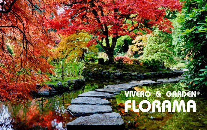 VIVEROS FLORAMA reinventa los jardines fuera de temporada