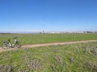 El Ayuntamiento de Sevilla licita el plan estratégico del 'Anillo Verde y Azul' y el corredor urbano del Guadalquivir