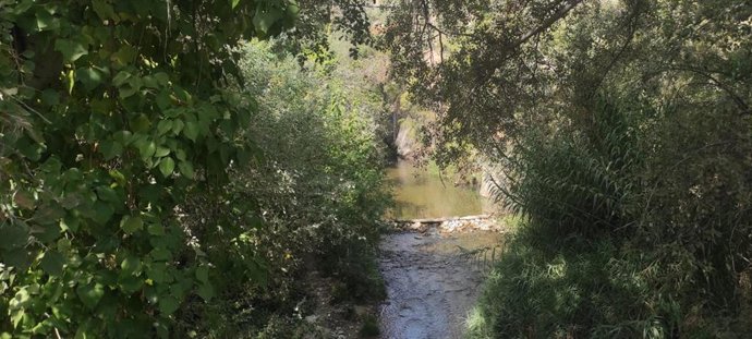 Archivo - Imagen de un río