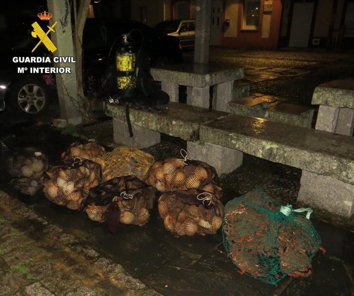 Incautados 175 kilos de vieiras y 25 de centollas en Mugardos (A Coruña), a 22 de noviembre de 2025.