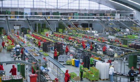 Es Andalucía - Sevilla