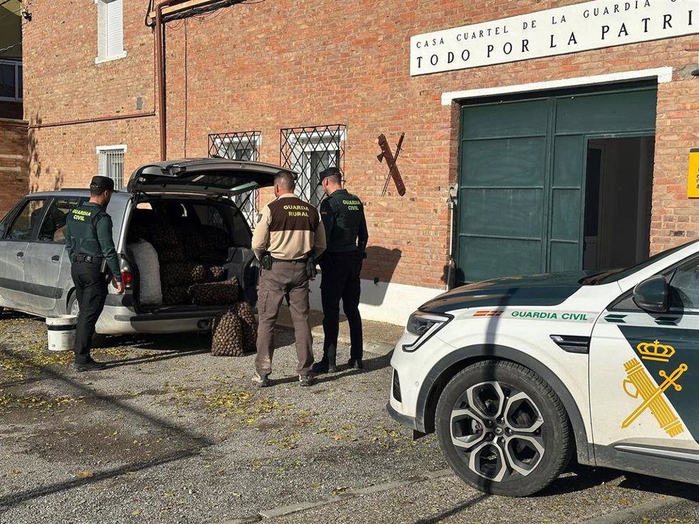 Cargamento de nueces intervenido por la Guardia Civil en las inmediaciones de Zaidín.