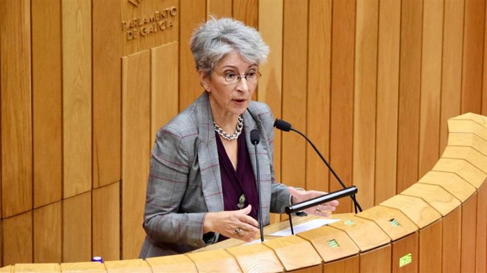 La diputada socialista Silvia Longueira durante una intervención en el Parlamento.