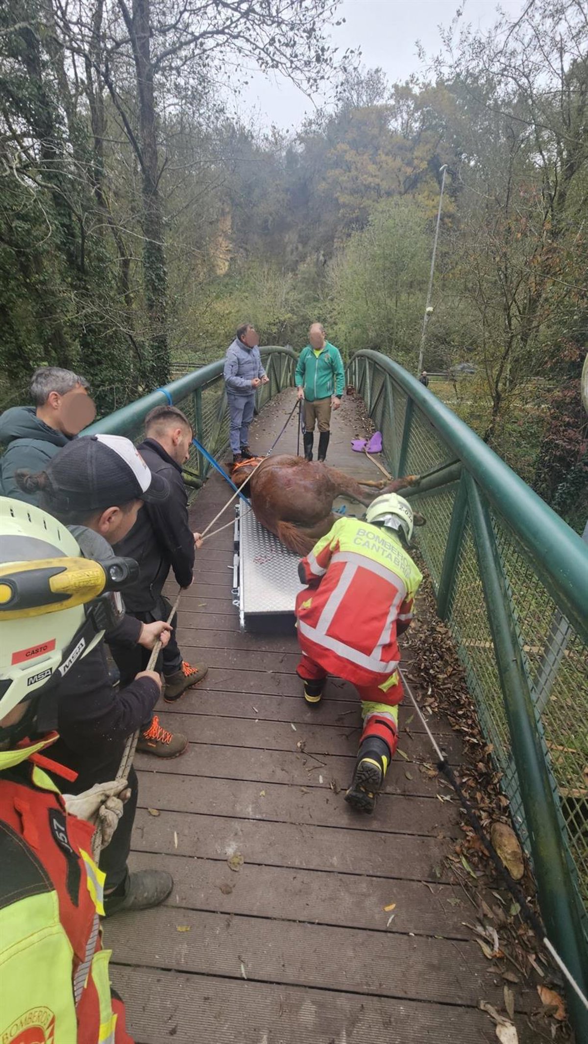 Rescatan a una yegua atrapada en la pasarela peatonal de La Penilla