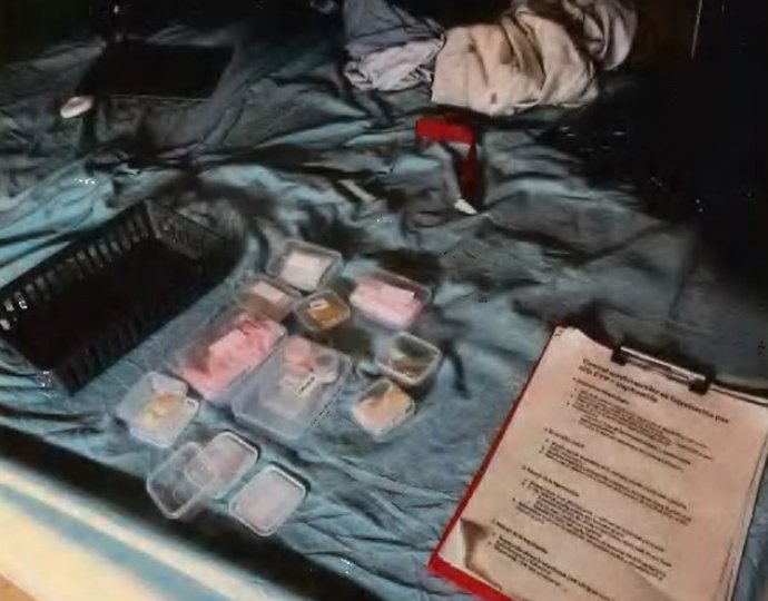 Material intervenido por agentes de los Mossos d'Esquadra