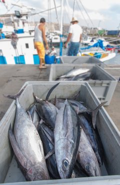 Es Andalucía - Sevilla