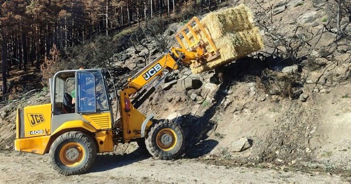 La Junta avanza en la ejecución de las actuaciones de emergencia y de restauración tras los incendios forestales