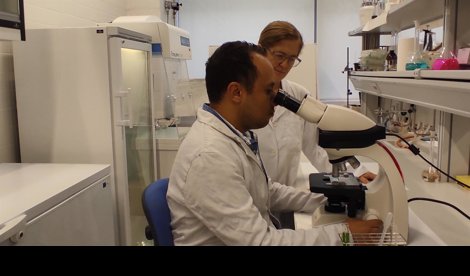 Es Andalucía - Sevilla