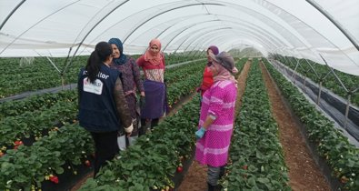 Es Andalucía - Huelva