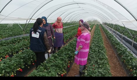 Es Andalucía - Huelva