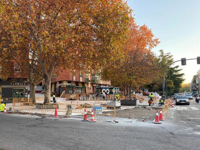 Obras del carril bici en el Paseo de Juan Carlos I