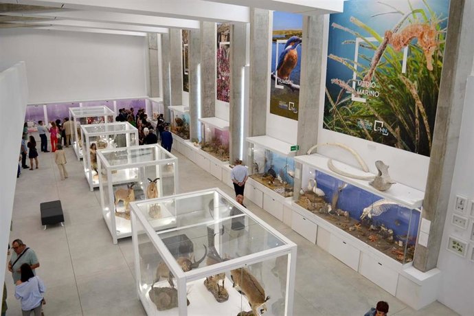 Archivo - Imagen de archivo del interior del Pabellón de Historia Natural de la Universidad de Almería.