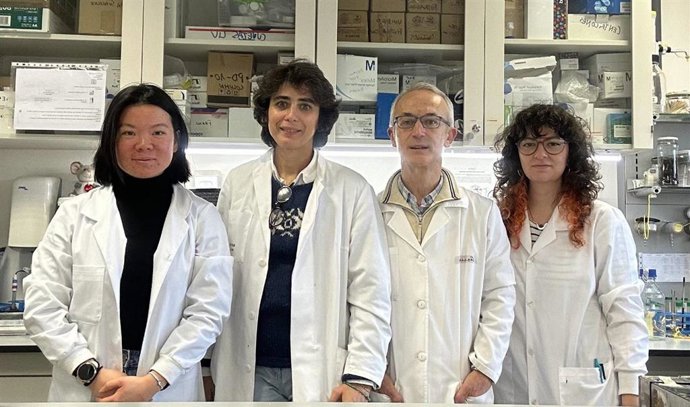 Los investigadores de la ULE Raquel Garcimartín-Bailón, María Luisa del Río-González, José-Ignacio Rodríguez-Barbosa y María Santiago Carretero.