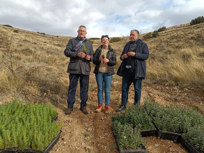 El consejero de Medio Ambiente y Turismo del Gobierno de Aragón, Manuel Blasco; la directora general de Gestión Forestal, Ana Oliván; y el alcalde de Tarazona, Tono Jaray, sostienen alguna de las plantas que se van a plantar en Monte Cierzo.