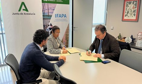 Es Andalucía - Sevilla