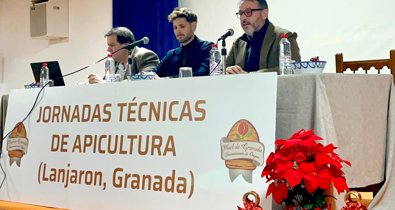 Es Andalucía - Granada