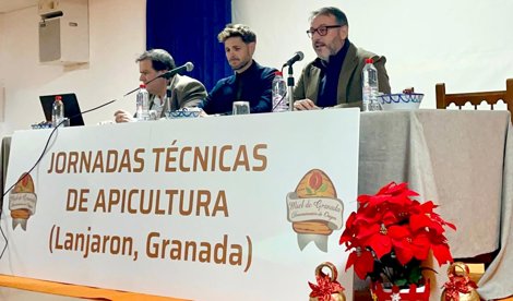 Es Andalucía - Granada