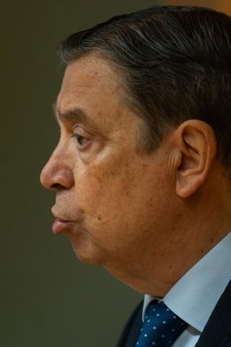 El ministro de Agricultura, Pesca y Alimentación, Luis Planas.