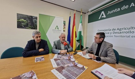 Es Andalucía - Málaga