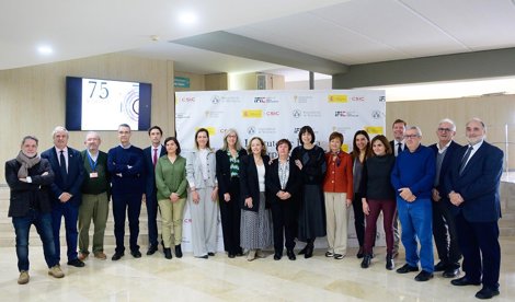 notibrasil sociedade