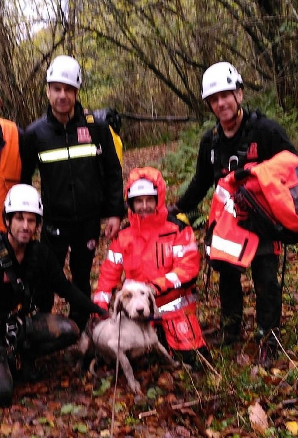 Rescatan a un perro caído en una sima de unos 18 metros en Arenas de Iguaña