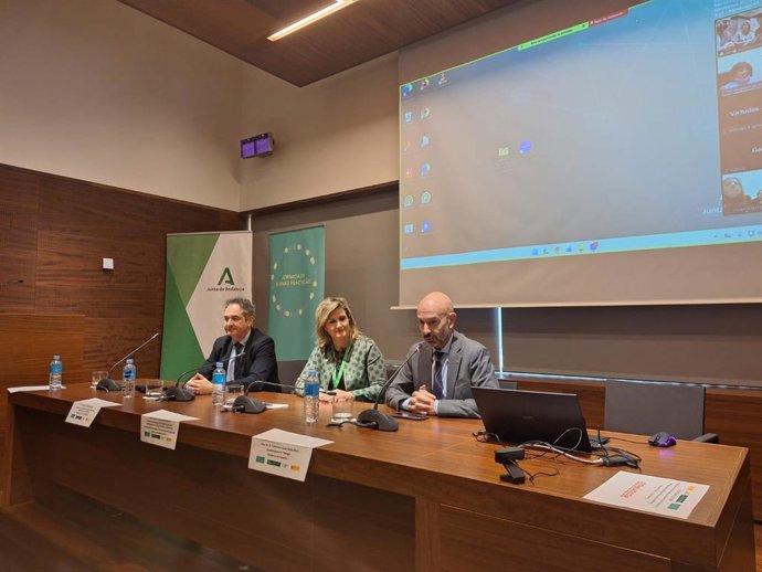 Javier Salas se ha referido al Plan de Salud Mental 2025-2027 del Gobierno junto a las comunidades autonómas durante su participación en las Jornadas de Buenas Prácticas en Salud Mental que se han celebrado este lunes en el Museo de Málaga.